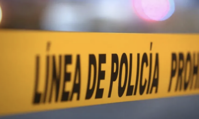 Puma ataca a dos hombres en ejido de Jaumave en Tamaulipas; son hospitalizados de gravedad